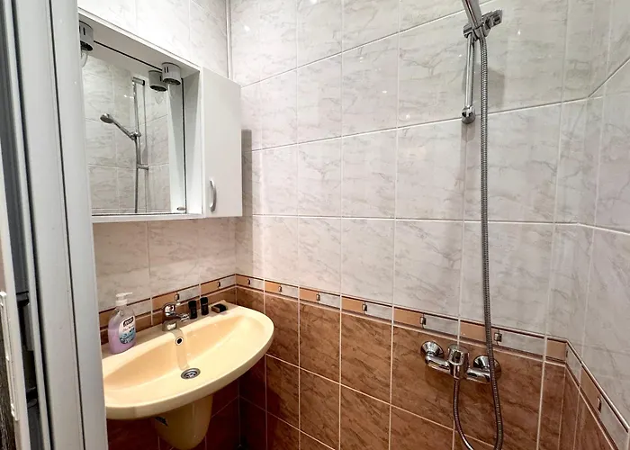 Apartment 1-bedroom Near Centre